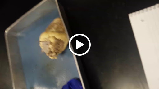 Performing Arts Theater «LaGuardia Performing Arts Center», reviews and photos, 31-10 Thomson Ave, Long Island City, NY 11101, USA