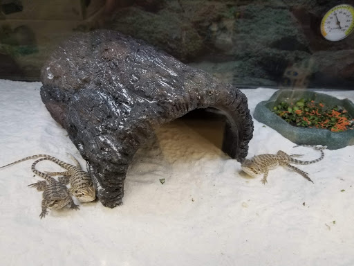 Pet Supply Store «Petco Animal Supplies», reviews and photos, 15660 SW Pacific Hwy, Tigard, OR 97224, USA