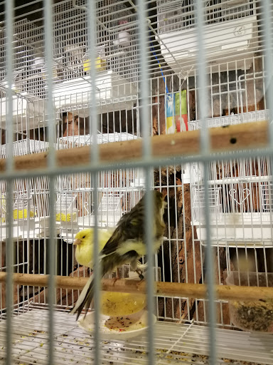 مركز الأحياء المائيه WATER LIFE CENTER 