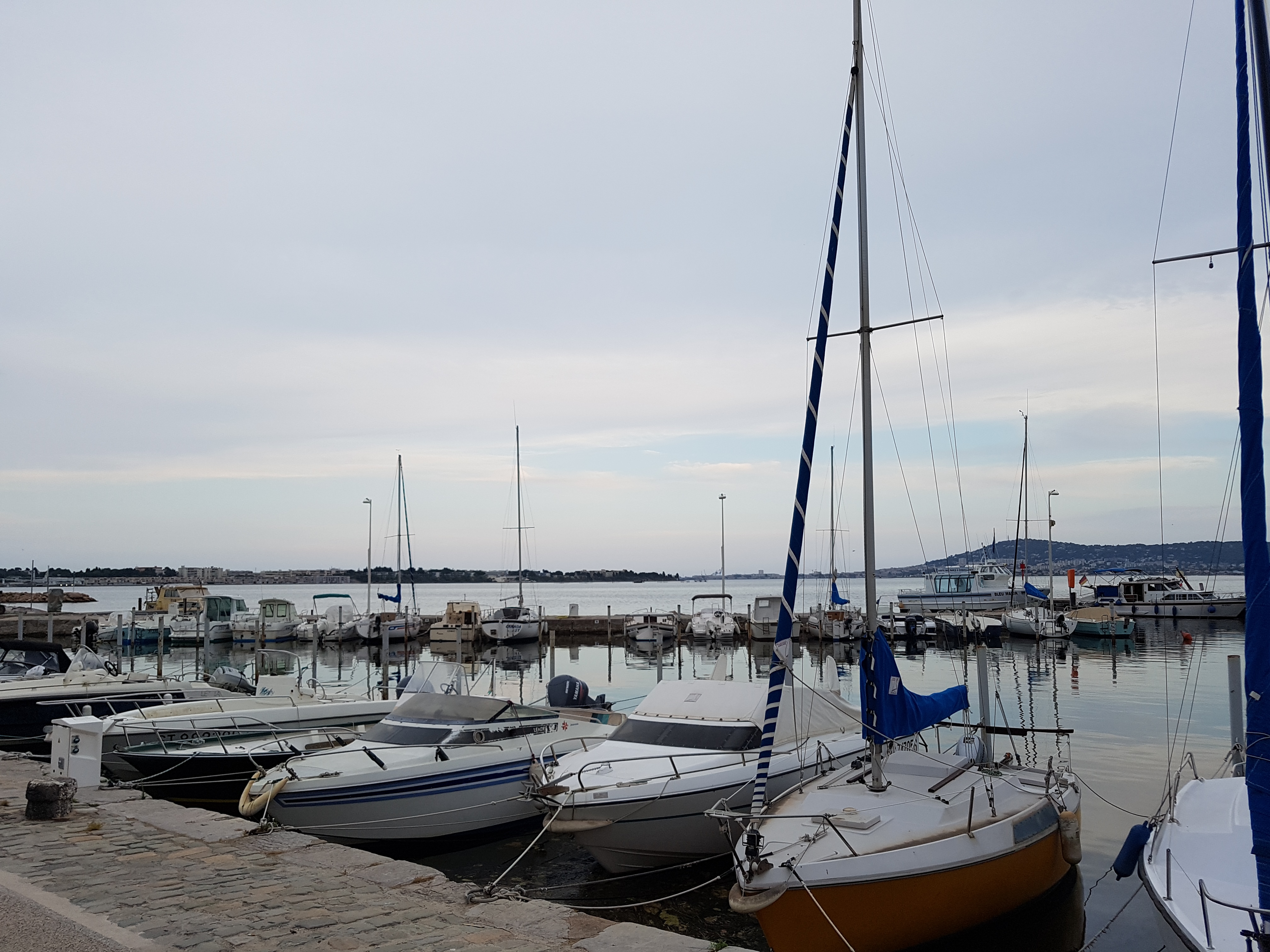 Photo n° 7 de l'avis de VanBoyT. fait le 04/07/2019 à 06:29
