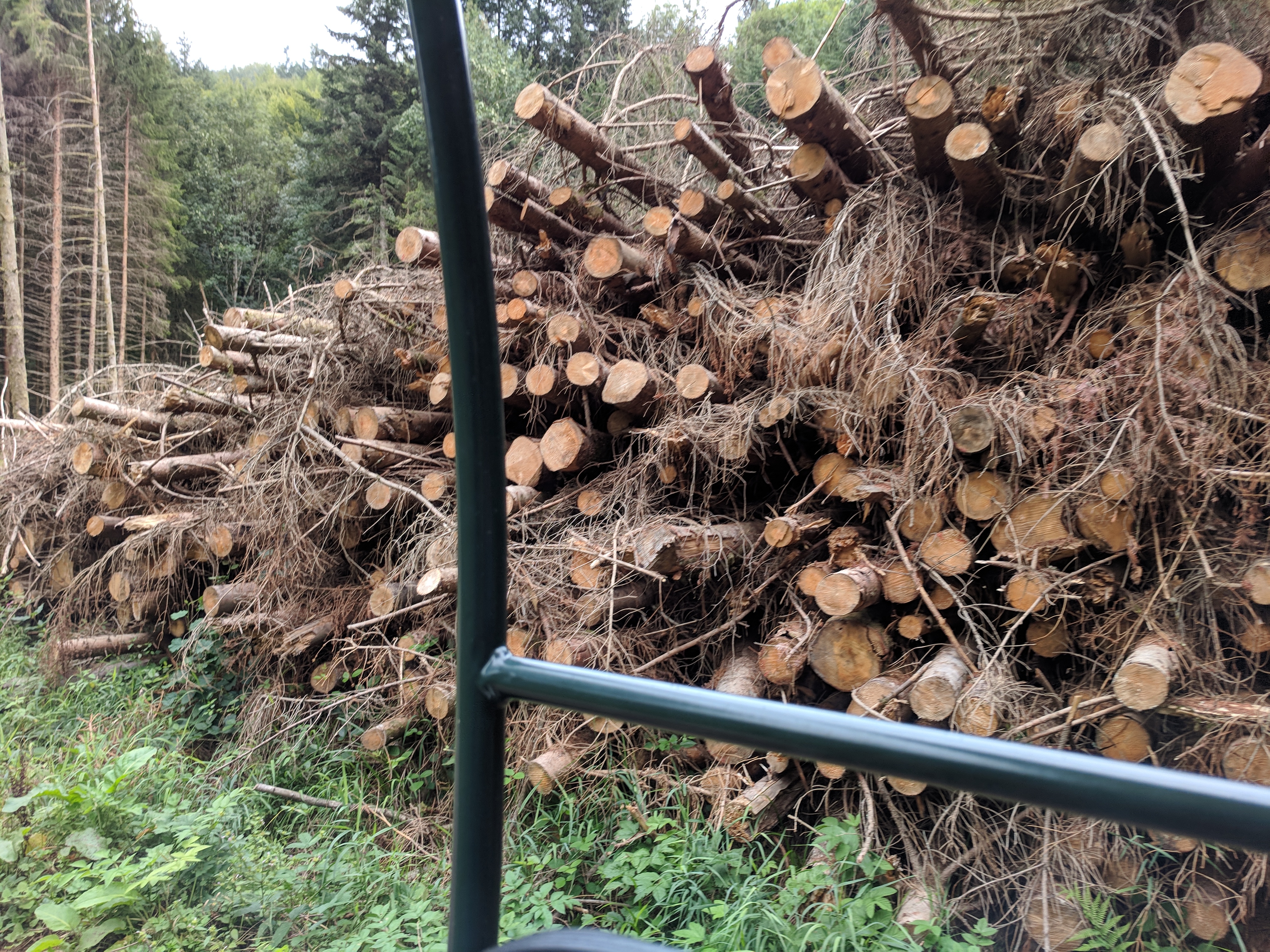 Photo n° 12 de l'avis de LAMBERT.r fait le 27/08/2018 à 11:58