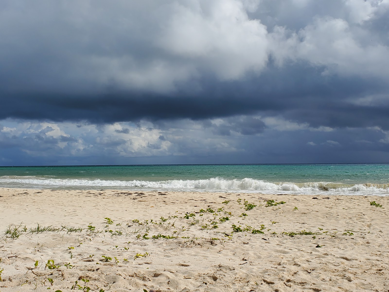 Playa del Secreto'in fotoğrafı - rahatlamayı sevenler arasında popüler bir yer