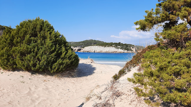 Σχόλια και κριτικές για το Μυκηναϊκός Τάφος Θρασυμήδη