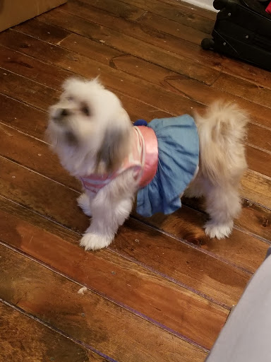 Pet Supply Store «Petco Animal Supplies», reviews and photos, 1570 Crater Lake Dr #300, Kennesaw, GA 30152, USA