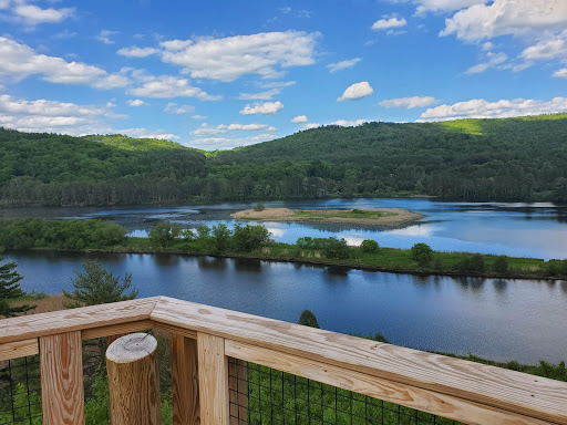 Environmental Organization «VINS Nature Center», reviews and photos, 6565 Woodstock Rd, Quechee, VT 05059, USA