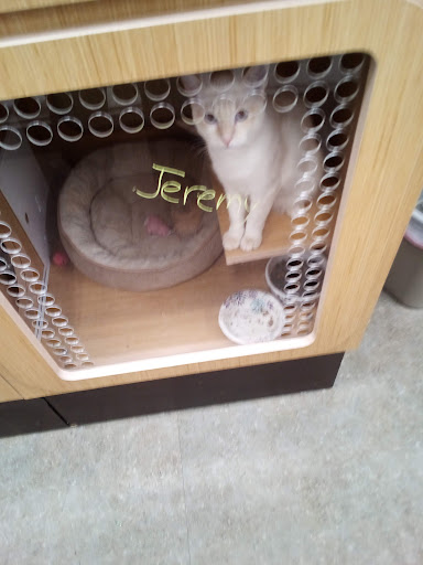 Pet Supply Store «Petco Animal Supplies», reviews and photos, 2824 Long Beach Rd, Oceanside, NY 11572, USA