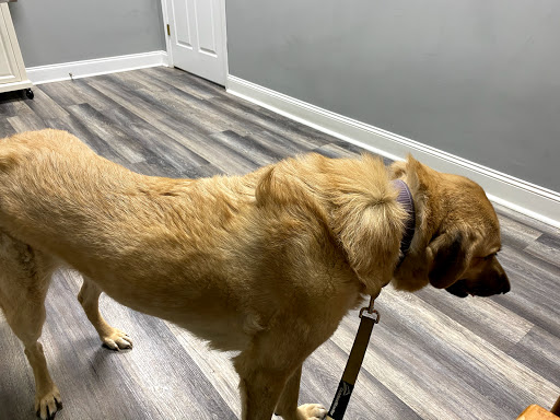 Rivertown Veterinary Emergency - After Hours Animal Clinic image