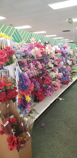 Dollar Store «Dollar Tree», reviews and photos, 823 N Broad St, Middletown, DE 19709, USA