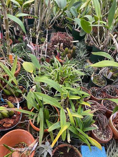 Florist «Floradise Orchids», reviews and photos, 19154 James Madison Hwy, Gordonsville, VA 22942, USA
