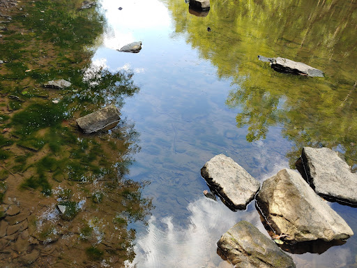 State Park «Swatara State Park», reviews and photos, 1450 Suedberg Rd, Pine Grove, PA 17963, USA