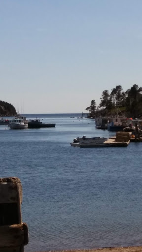 Nature Preserve «Johnson Field Preserve at Mackerel Cove», reviews and photos, 25 Abner Point Rd, Bailey Island, ME 04003, USA