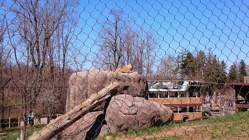 Zoo «Seneca Park Zoo», reviews and photos, 2222 St. Paul Street, Rochester, NY 14621, USA