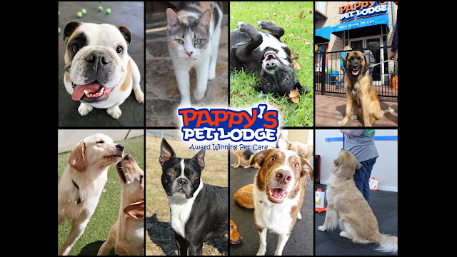 Pappy's Pet Lodge - Addison