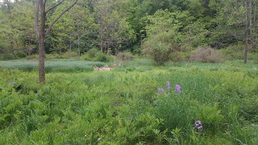 Museum «Union Mills Homestead», reviews and photos, 3311 Littlestown Pike, Westminster, MD 21158, USA