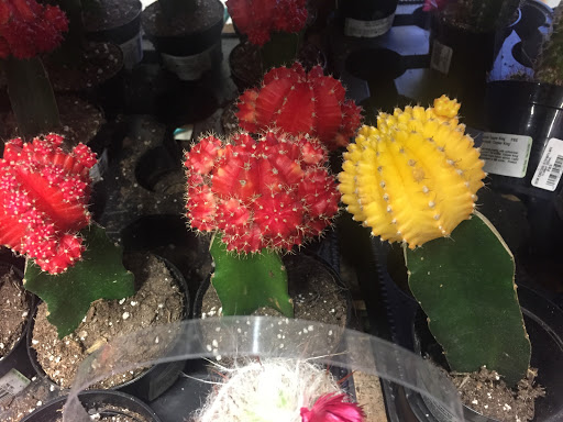 Home Improvement Store «The Home Depot», reviews and photos, 601 Naamans Rd, Claymont, DE 19703, USA