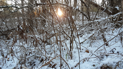 Nature Preserve «Gummere Woods And Marsters Preserve Trail», reviews and photos, 4 Wheeler Rd, North Grafton, MA 01536, USA