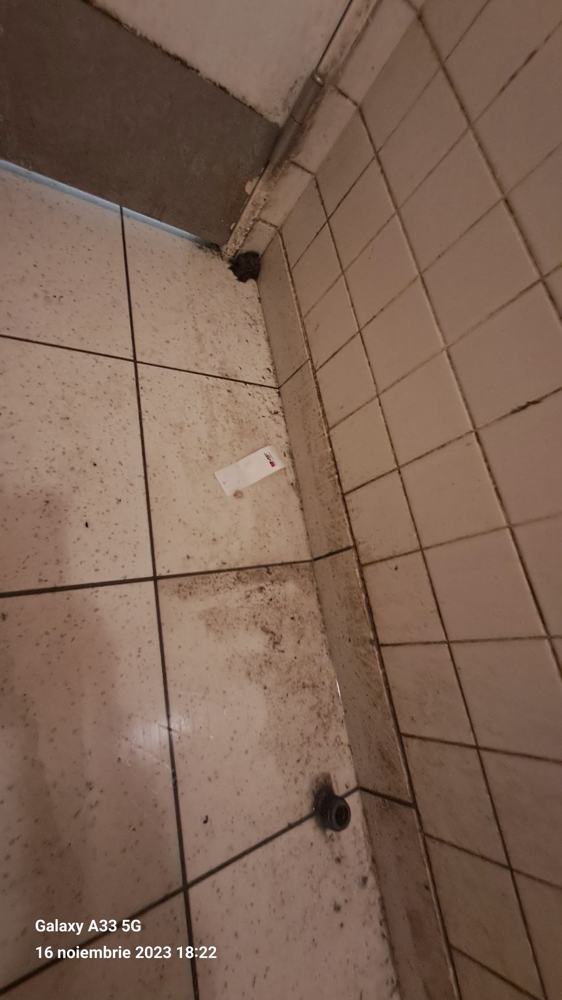 Photo n° 2 de l'avis de Petru.i fait le 16/11/2023 à 20:39