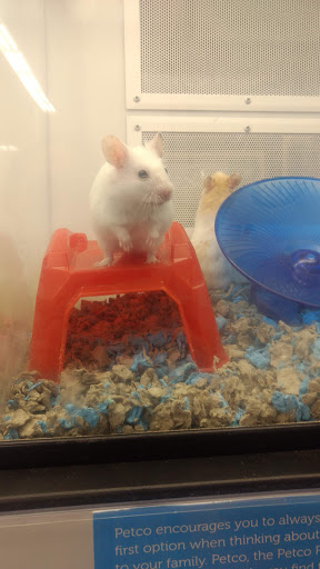 Pet Supply Store «Petco Animal Supplies», reviews and photos, 5481 Lone Tree Way, Brentwood, CA 94513, USA