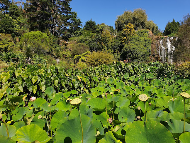 Reviews of Wrights Water Gardens in Pukekohe - Landscaper