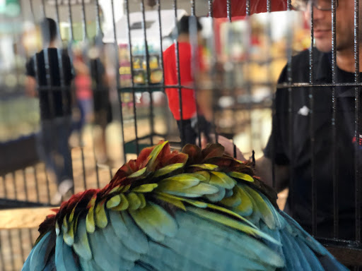 Pet Store «Exotic Tropical Petworld LLC.», reviews and photos, 1716 W Hackberry Ave, McAllen, TX 78501, USA