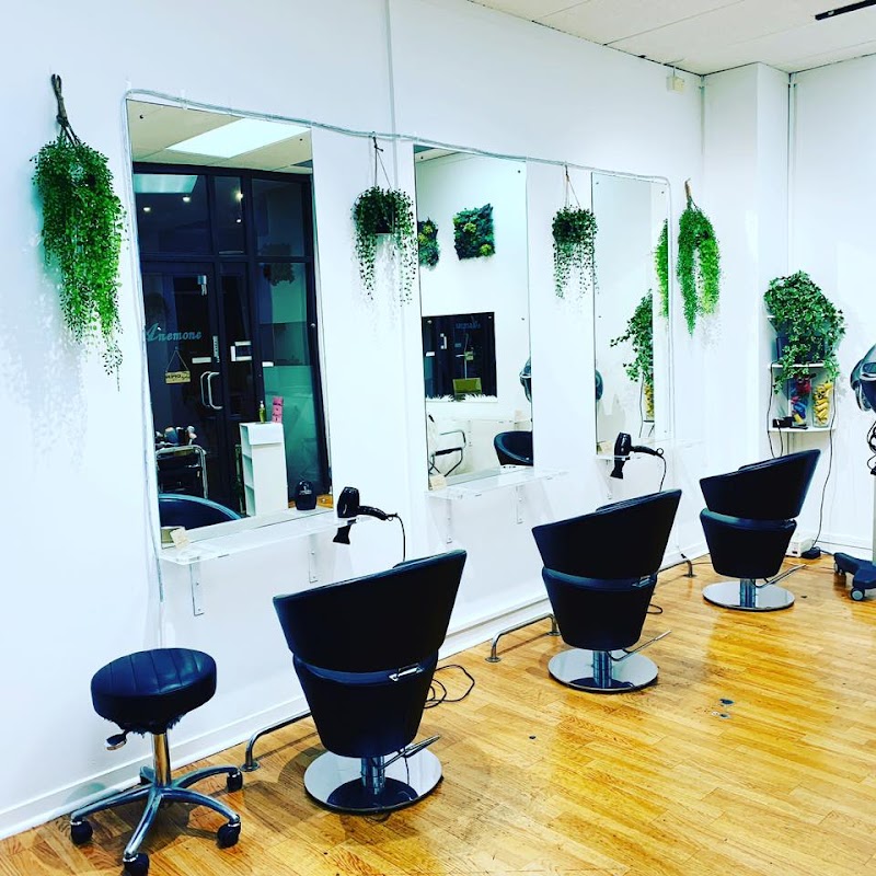 Anemone Hair Salon - Japanese Hair Salon