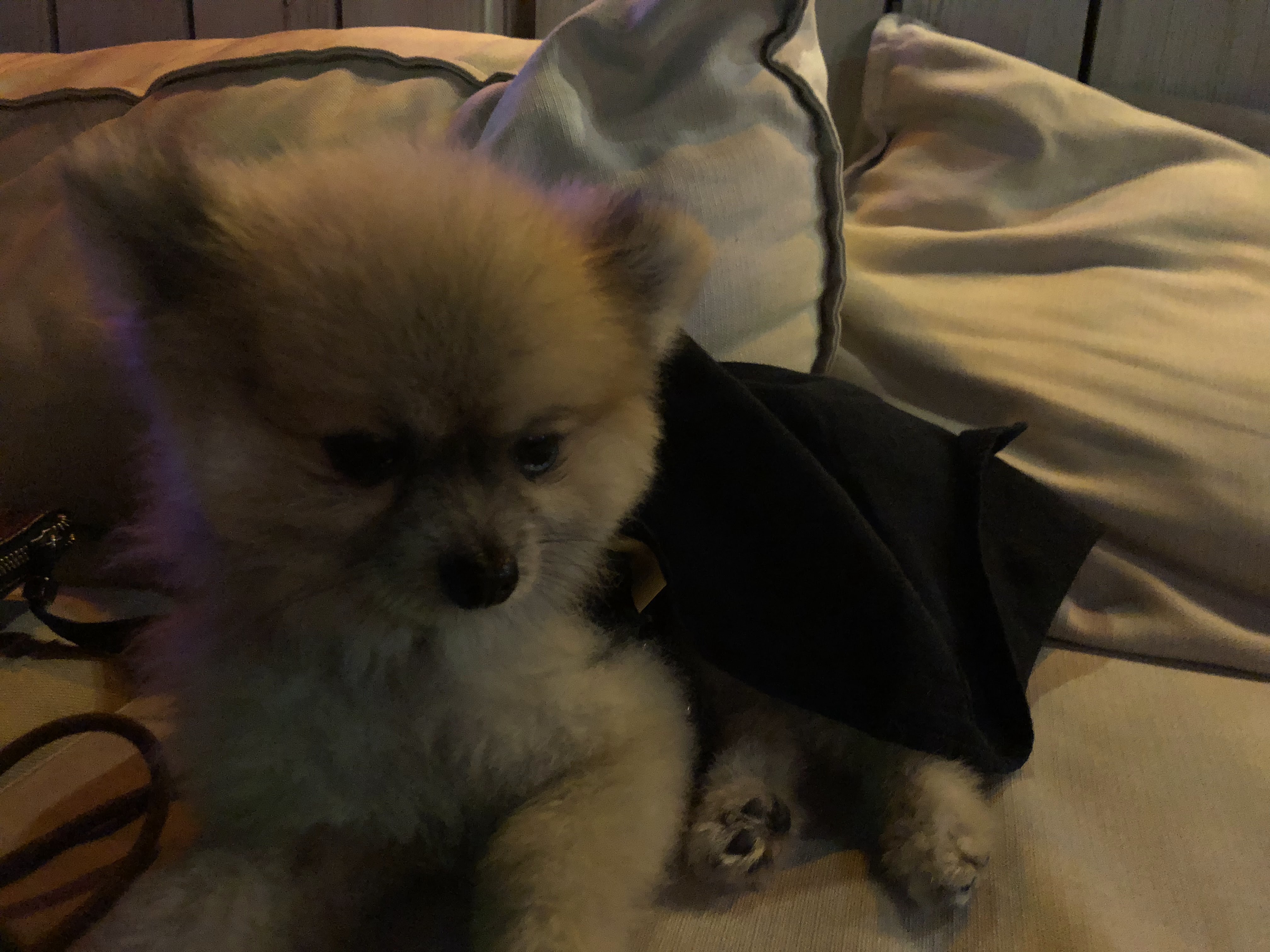 Photo n° 4 de l'avis de Laurence.o fait le 29/09/2018 à 13:07