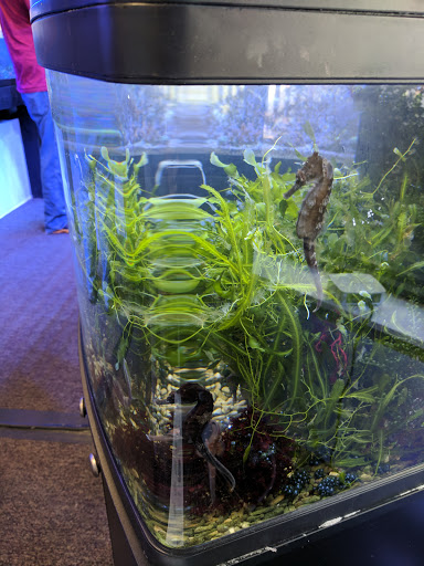 Tropical Fish Store «All Things Aquariums», reviews and photos, 30789 SW Boones Ferry Rd k, Wilsonville, OR 97070, USA