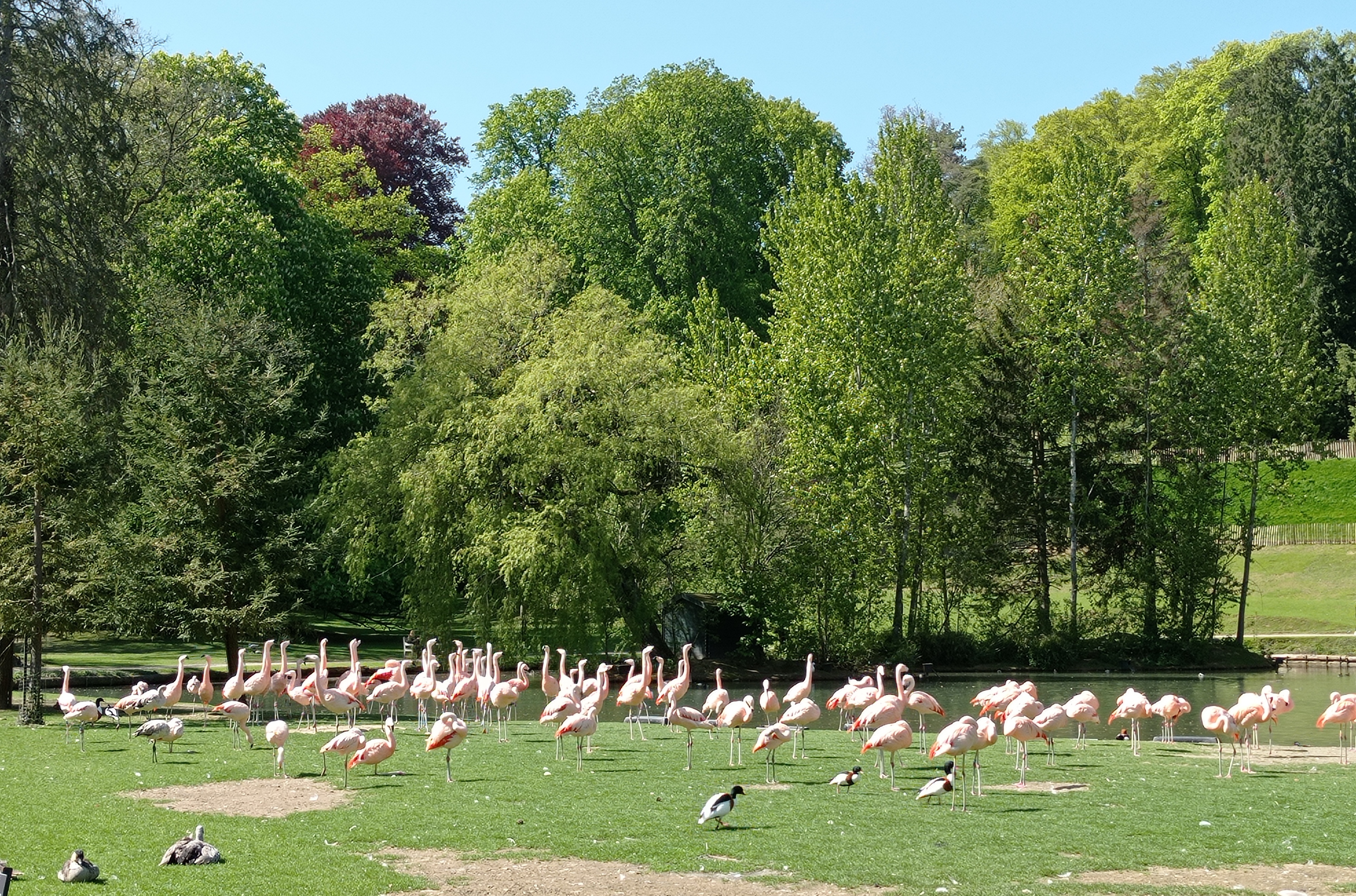 Photo n° 6 de l'avis de Louise.i fait le 04/05/2023 à 17:23