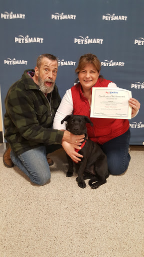 Pet Supply Store «PetSmart», reviews and photos, 89 Commercial Rd, Leominster, MA 01453, USA