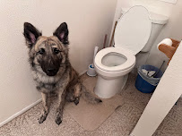 BC Plumbing LLC - Photo 2 - Car repair in , Odessa