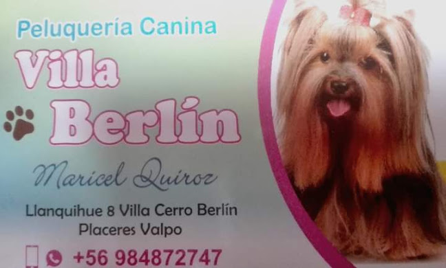 Peluquería canina Villa Berlin