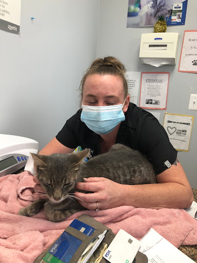 Animal Care Hospital of Livonia image