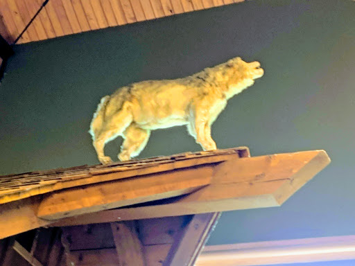 Resort «Great Wolf Lodge Concord», reviews and photos, 10175 Weddington Road, Concord, NC 28027, USA