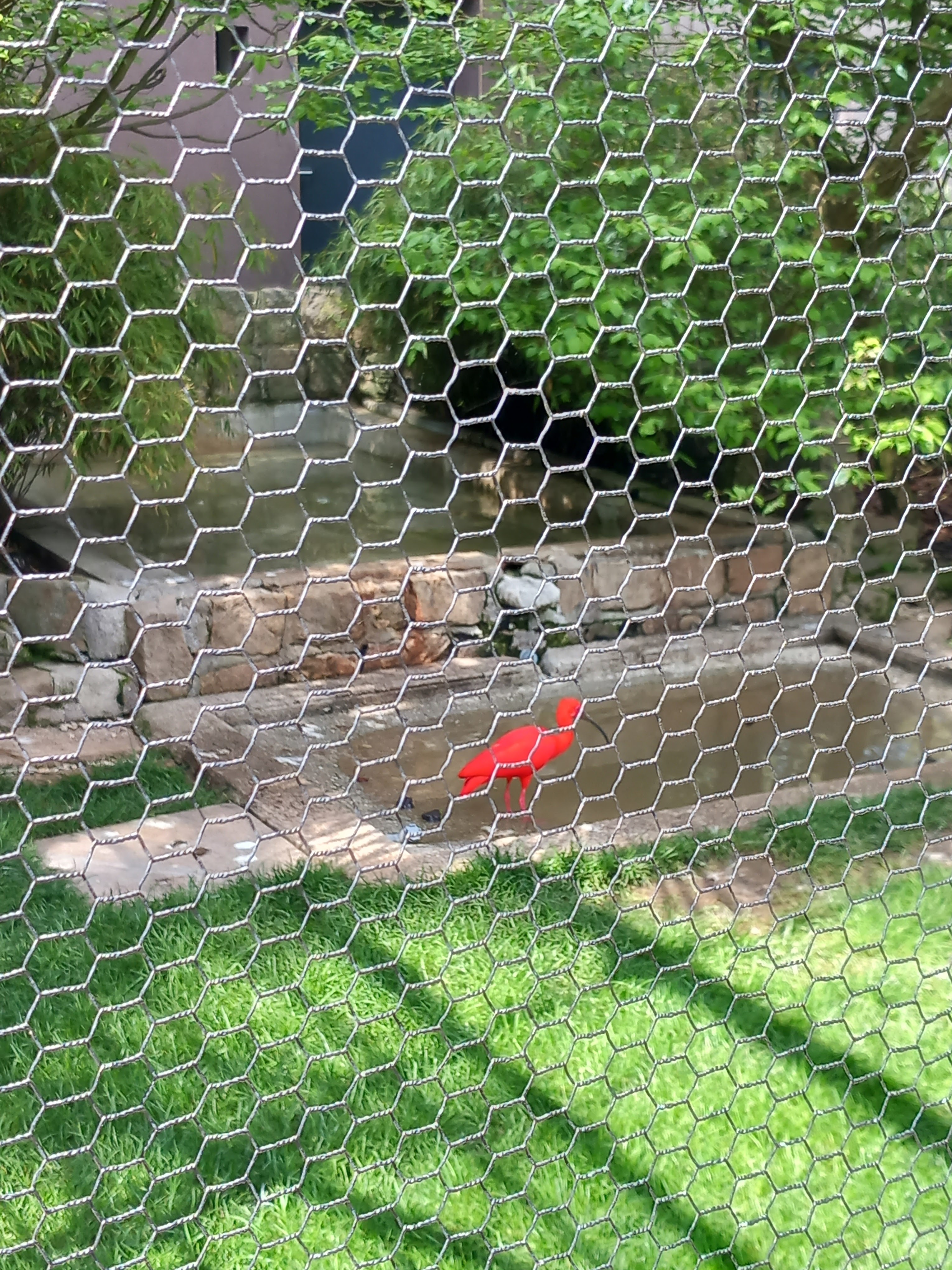 Photo n° 8 de l'avis de Karl.h fait le 01/05/2023 à 06:31