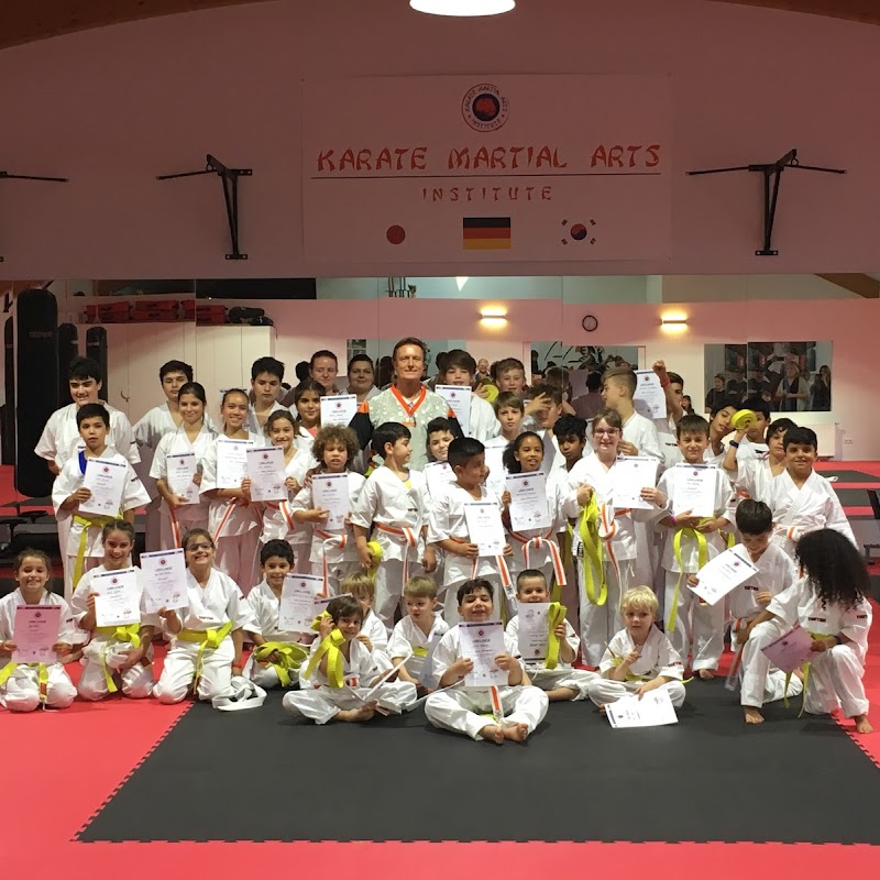 Karate Martial Arts Institute GmbH (Kinder Karate Frankfurt)