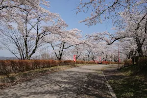 Amekusawa Park image