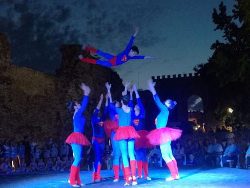 Imagen del negocio AMC Always Elvis en Talavera de la Reina, Toledo