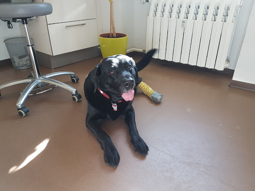 Fachpraxis für Kleintiere Nils Olma & Gunter Zeise unter Weimar, Thüringen