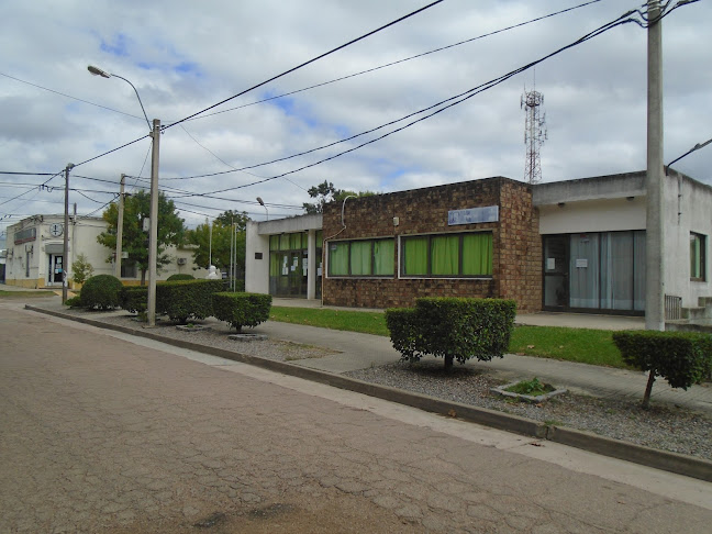 I.M.C. Junta Local De San Bautista - Oficina de empresa