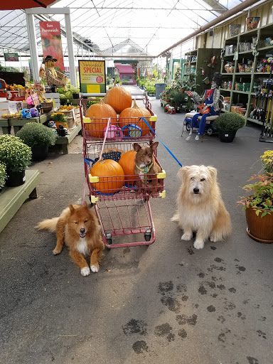 Garden Center «Pike Nurseries», reviews and photos, 615 W Crossville Rd, Roswell, GA 30075, USA