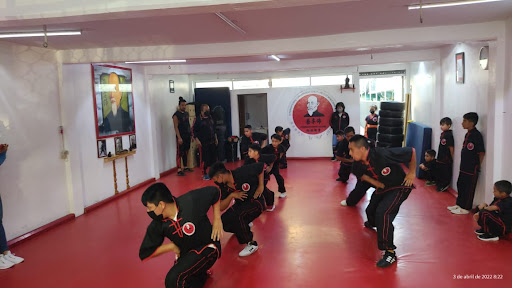Escuela de Choy Lee Fut (kung-fu)
