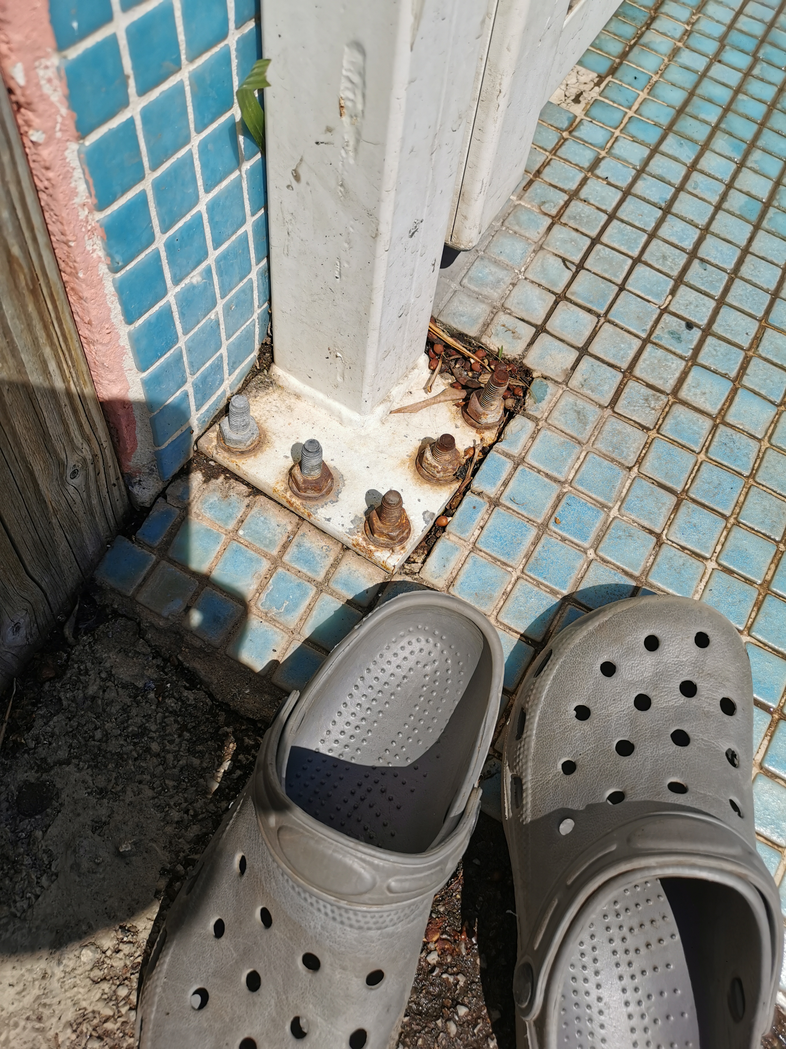 Photo n° 5 de l'avis de Marie-Lise.a fait le 30/08/2020 à 08:44