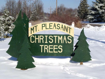 Mount Pleasant Christmas Trees