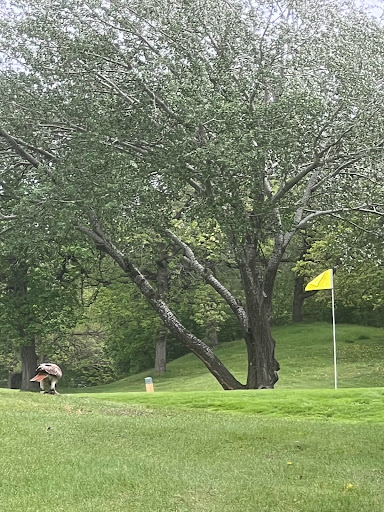 Golf Course «Brookview Golf Course», reviews and photos, 200 Brookview Pkwy S, Golden Valley, MN 55426, USA