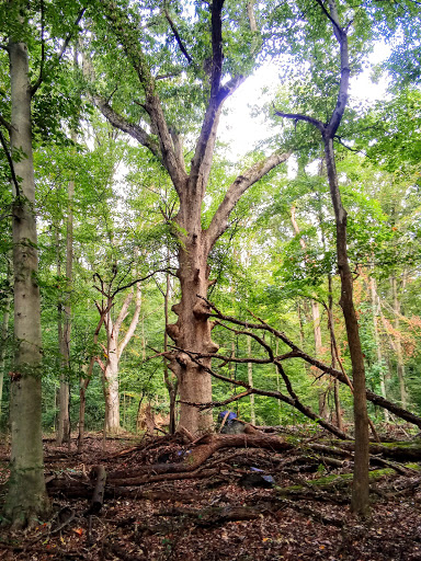 Park «Bechtel Park», reviews and photos, Naamans Rd, Claymont, DE 19703, USA