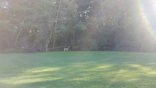 Golf Course «Woodruff Golf Course», reviews and photos, 621 Gougar Rd, Joliet, IL 60432, USA