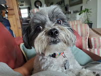 Just Call Jill - Photo 6 - Car repair in , St. Petersburg