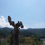 Photo n°8 de l'avis de Maria.i fait le 16/07/2018 à 12:49 sur le  Ristorante Rocca Rosa à Corte Brugnatella