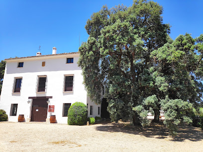 Bodega – Finca Hoya de Cadenas – Las Cuevas