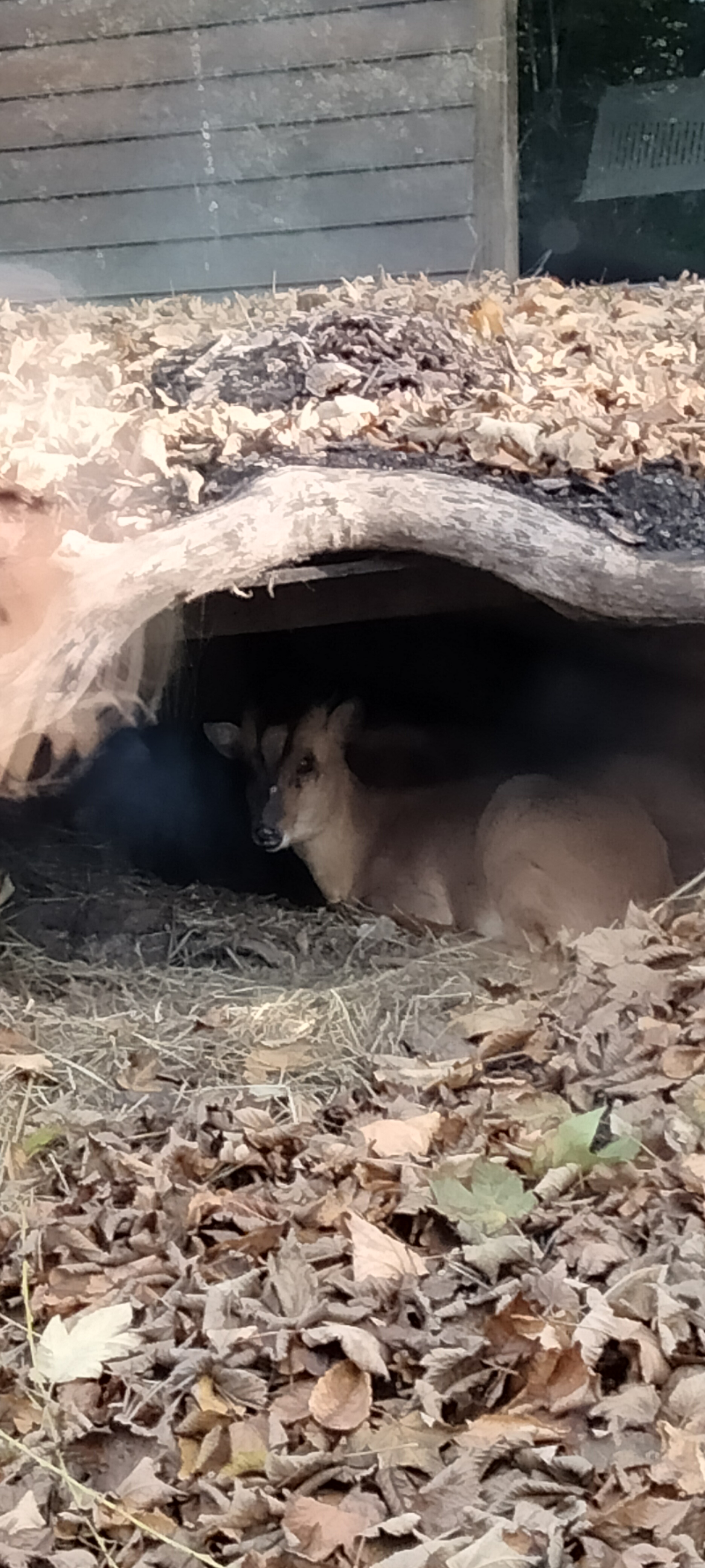 Photo n° 10 de l'avis de Sylvie.U fait le 07/11/2022 à 08:33